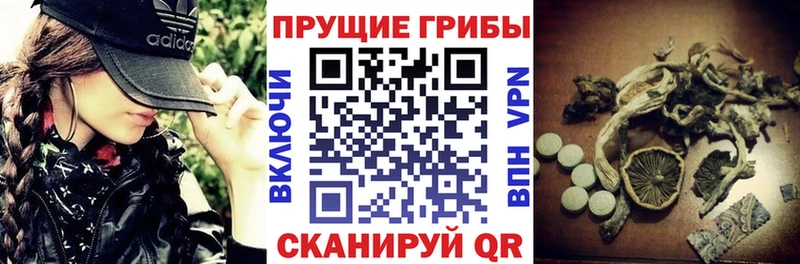 нарко площадка какой сайт  Бежецк  Галлюциногенные грибы MAGIC MUSHROOMS 